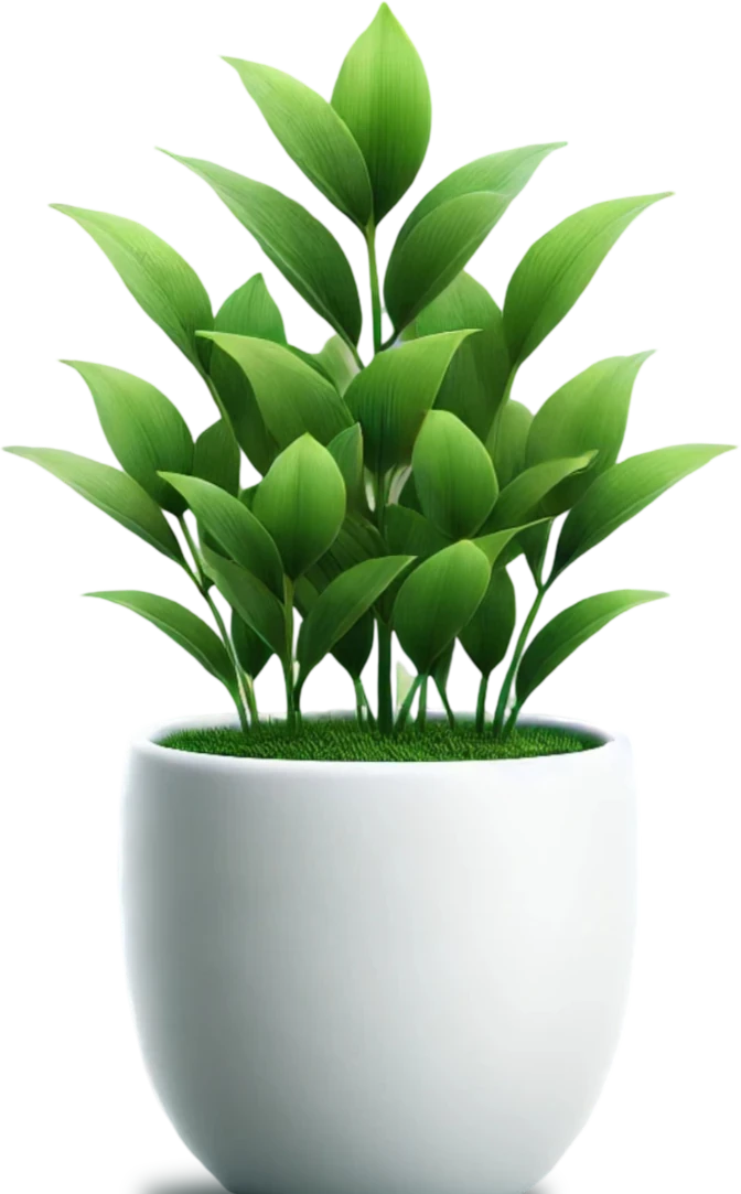 decoration plant